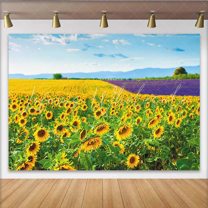 Lofaris Vibrant Sunflower and Lavender Field Natural Scenery Backdrop Beautiful Landscape Photo Background for Studio Photography