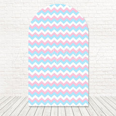 Pink Blue Gender Reveal Theme Arch Backdrop For Party Moment