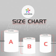 Strawberry Shortcake Sweet Fun Themed Cover Cylinders Kit