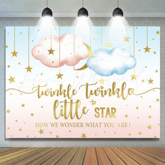 Lofaris Twinkle Star Night Gender Reveal Backdrop